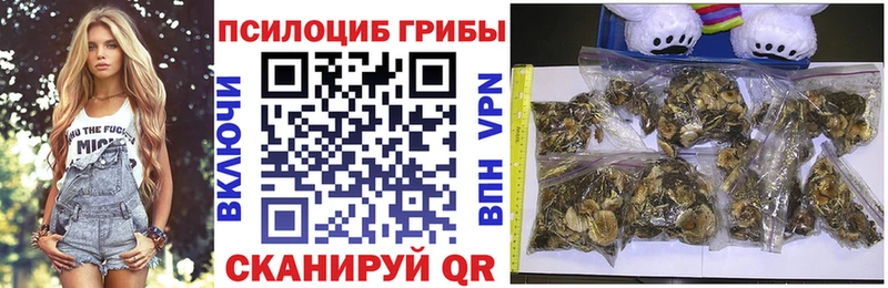 Галлюциногенные грибы Cubensis Гуково