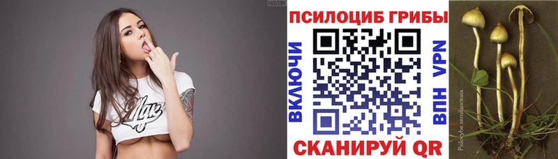 Галлюциногенные грибы ЛСД  Купить закладки  Гуково 